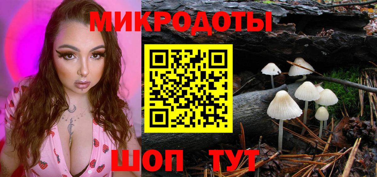 Оренбург  Псилоцибиновые грибы Psilocybine cubensis  Вход с VPN 