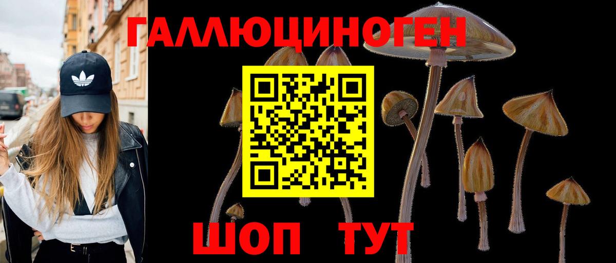 Галлюциногенные грибы Cubensis Оренбург